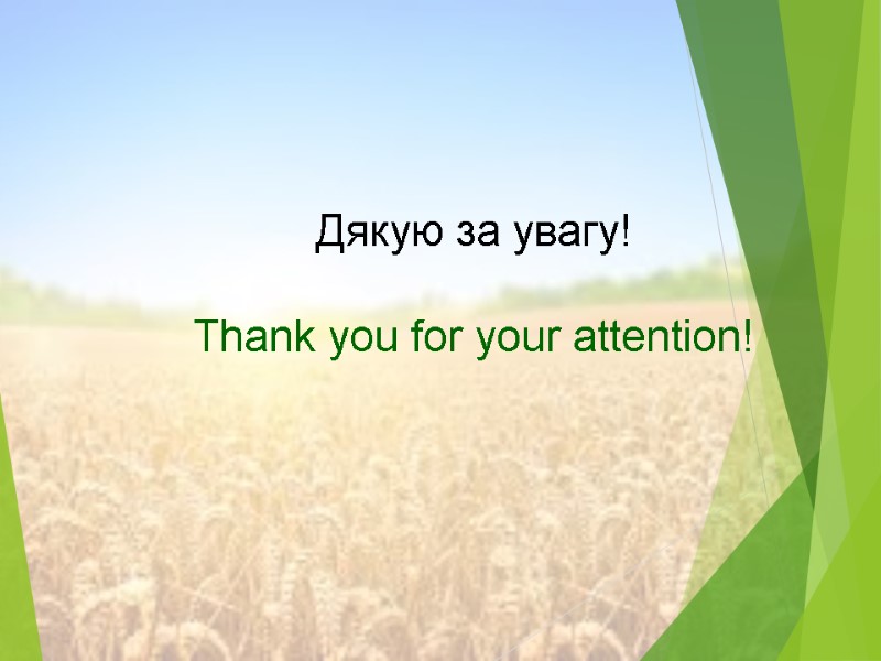 Дякую за увагу!  Thank you for your attention!